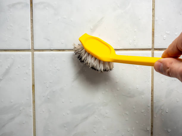 Best Mold Remediation for Schools in Lawrencevle, IL