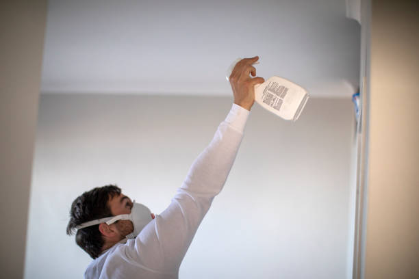Best Mold Remediation for Specific Building Types in Lawrencevle, IL