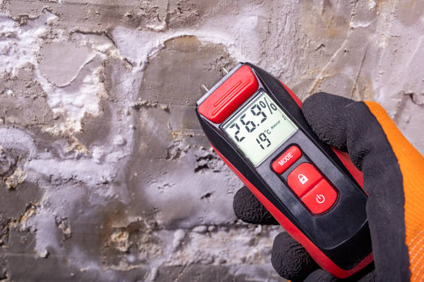 Best Mold Testing and Inspection Services in Lawrencevle, IL