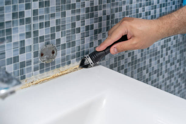 Best Bathroom Mold Remediation in Lawrencevle, IL